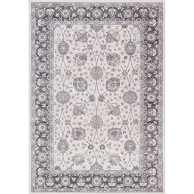 Oriental Indoor Rug