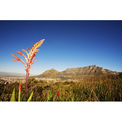 Table Mountain by Rapideye