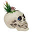 Pot à fleurs 8,75 "à DEL avec crâne d'Halloween
