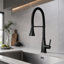ROBOHIGH Kitchen Faucet Side Spray