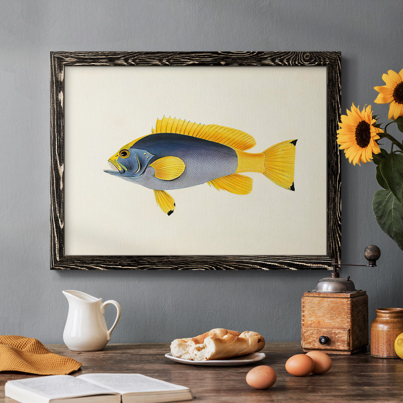 Collection de poissons tropicaux - Toile tendue avec châssis rustique - 2778376, Noir, H 22 po x l 32 po