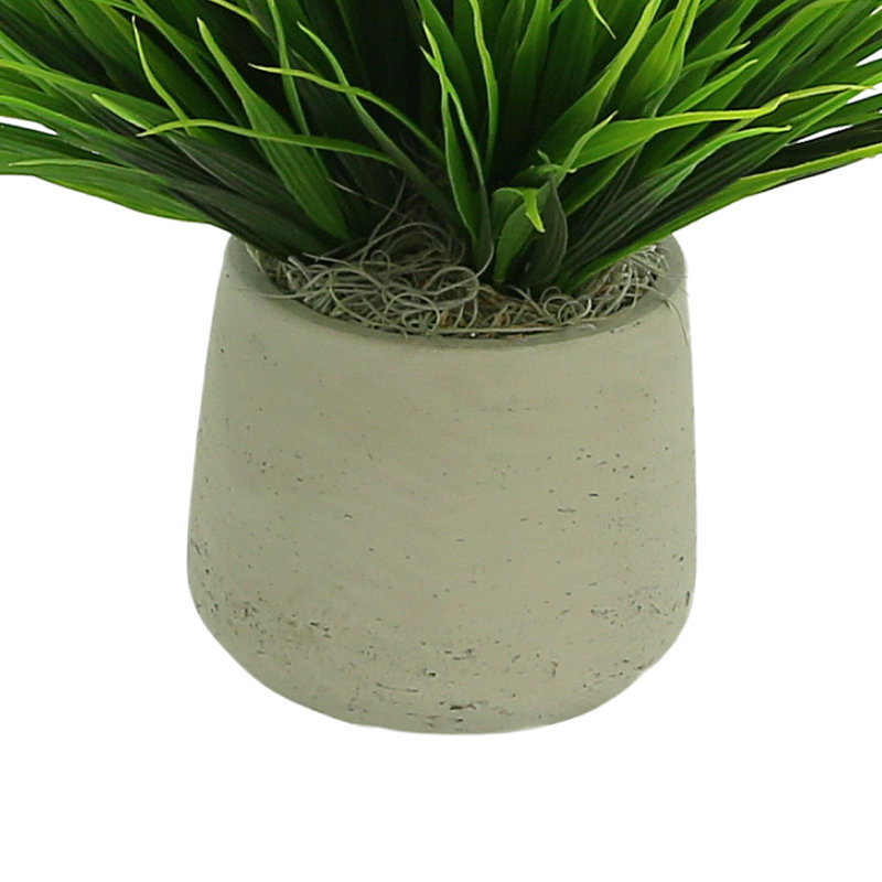 Vanilla Grass Arranged In A Fiberstone Pot