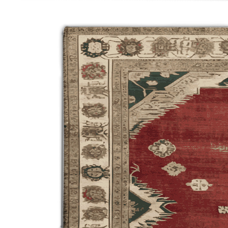 Tapis intérieur et extérieur brun Overdyed, Rectangle 4pi x 6 pi