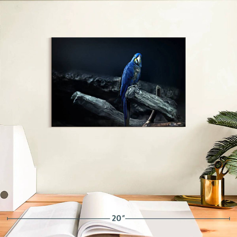 Brampt Hyacinth Macaw, 8" H x 12" W