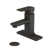 Oil Rubbed Bronze