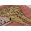 Modern Classics One-of-a-Kind 6'1X4'3 Hand Knotted Area Rug