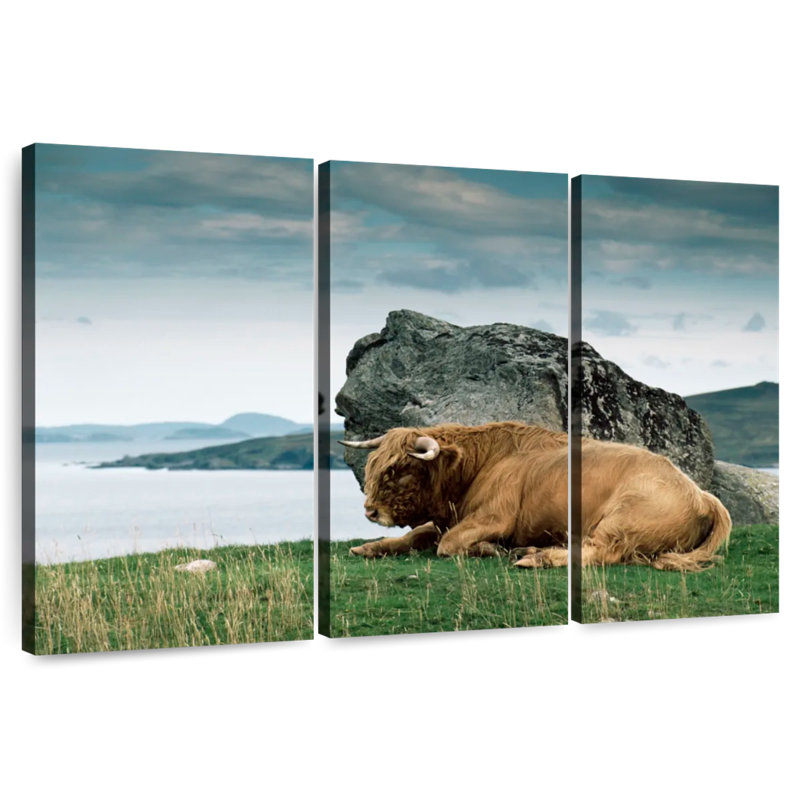 Brampt Highlander Bull, 42" H x 65" W