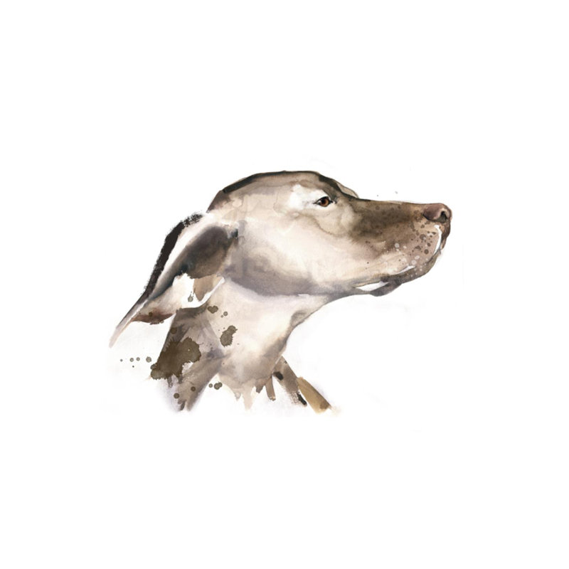 Dog Days IV Print by Emma Brooks, Outdoor, 24" H x 24" W x 1.5" D