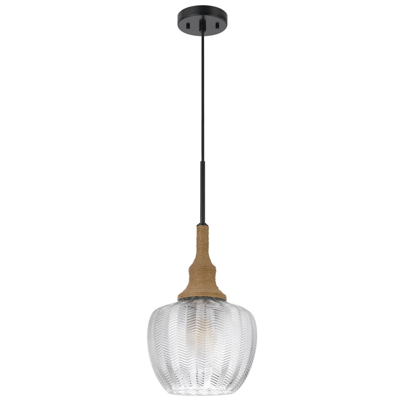 Luminaire suspendu en forme de dôme noir à 1 lumière Uniondale