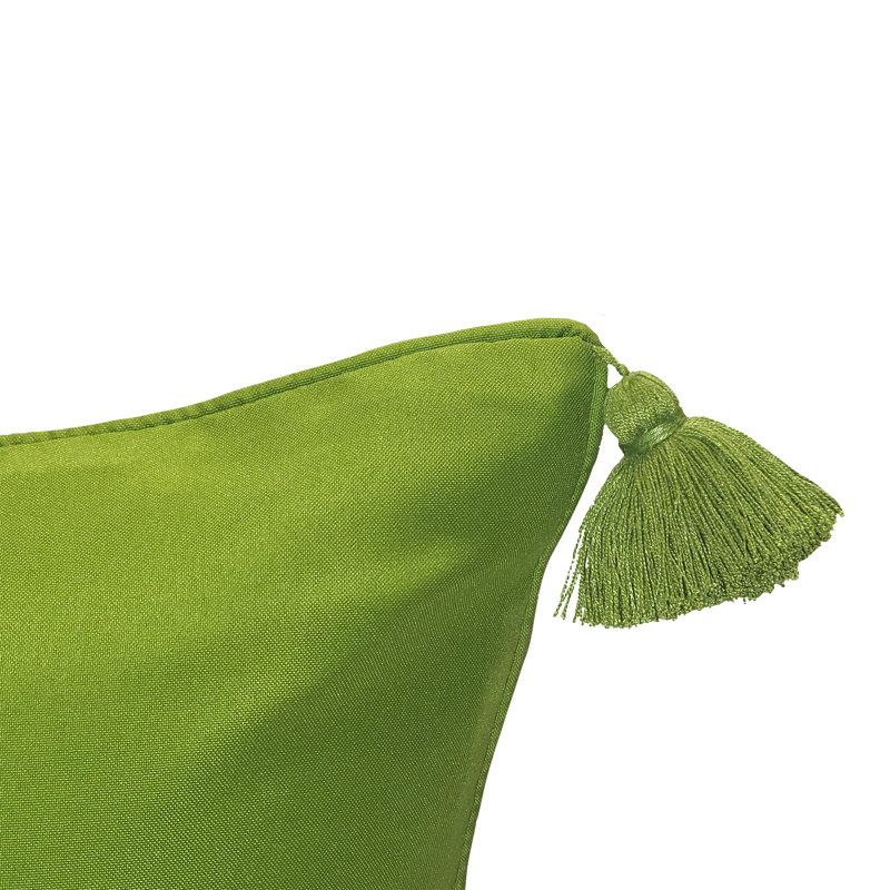 Tassels Outdoor Reversible Throw Pillow
