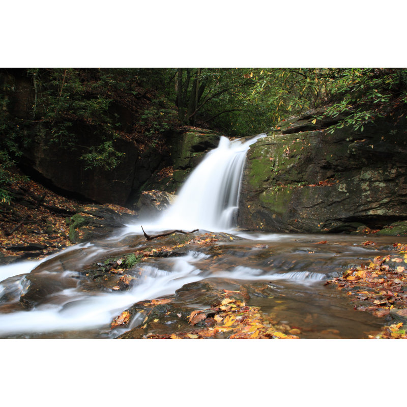 Cliff Falls Trail In Georgia by Pkphotography - Wrapped Canvas Print, 30cm H x 46cm W