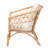 Chatfield 30.3" W Rattan Polyester Armchair