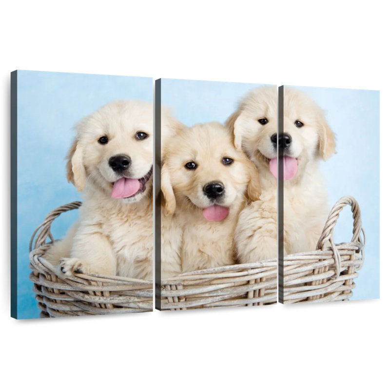 Brampt Buffy Biskit And Beau, 24" H x 38" W