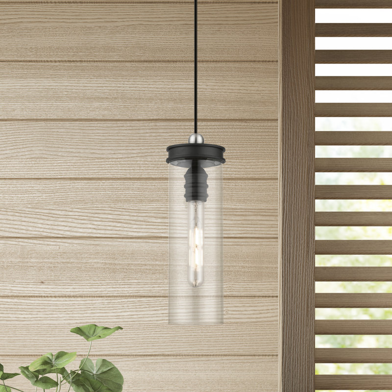 Donshay 1 - Light Pendant, Black/Brushed Nickel