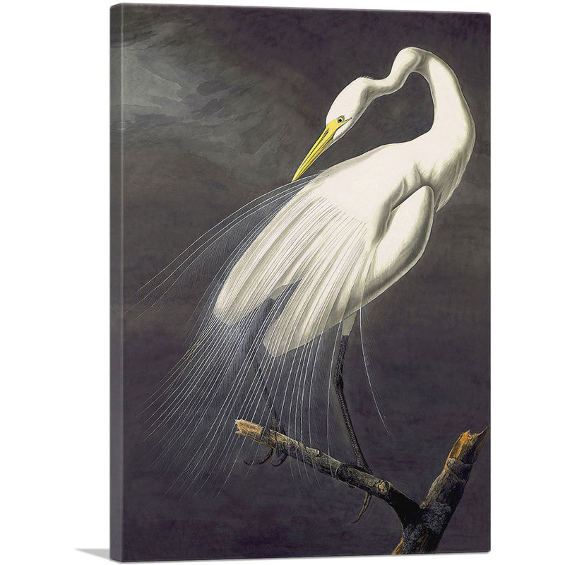 Grande aigrette par James Audubon, reproduction d'art sur toile tendue, H 26 po x l 18 po x 1,5 po
