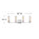 Xander 4-Light Vanity Light