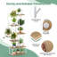 Plant Stand