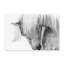 Nature Inspired Halflinger Portrait by  - Picture Frame Photograph on Paper-131286285-131286284-131286283