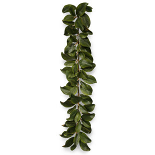 Feuille de guirlande magnolia 5 pi