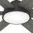 Donatella 52" 6 - Blade Ceiling Fan with Lights and Remote-83665632