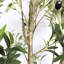 Olive artificielle avec pot-1267324233