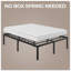 Lit standard-446908220