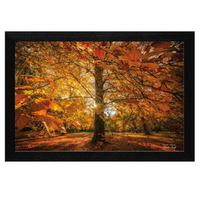 'Autumn Leaves' Framed Photographic Print