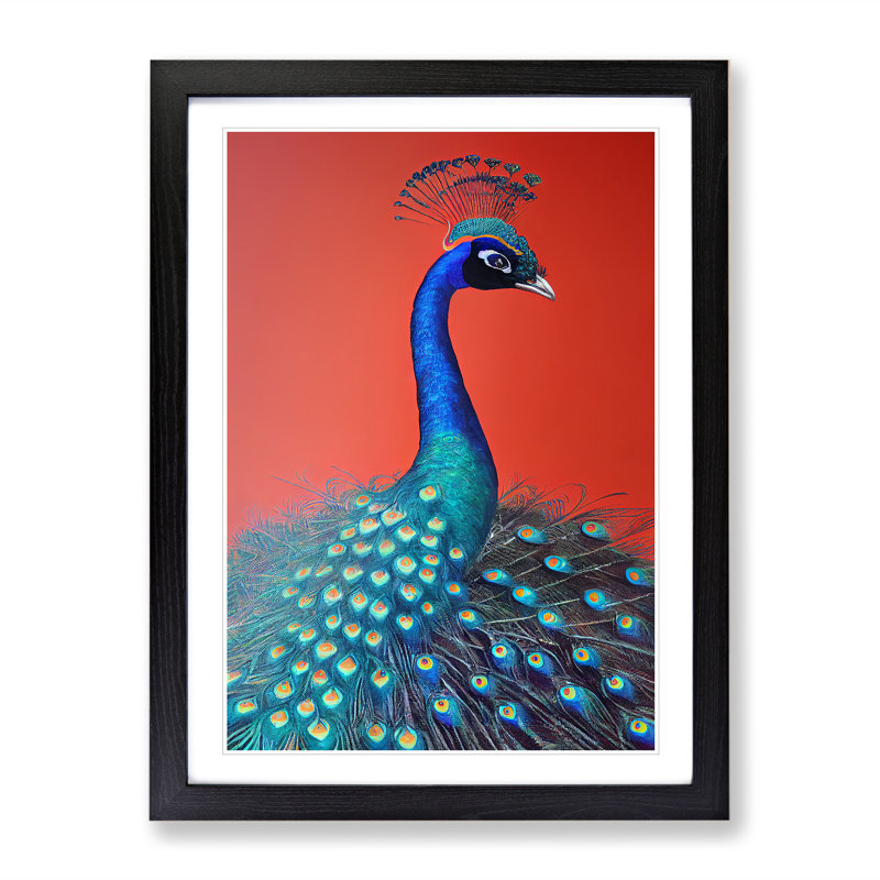 Extraordinary Peacock - Single Picture Frame Print, Black, 64cm H x 46cm W x 2cm D