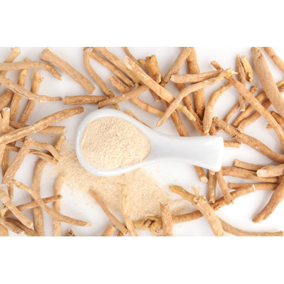 Ashwagandha Powder by Eskymaks - Wrapped Canvas Print
