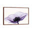 Anemone II - Print on Canvas-101342011-113646099