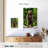 Standing Grizzly Bear-1517531031
