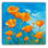 Sun - Kissed Poppies - Art mural sur toile tendue