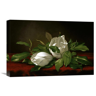 " Magnolia " by Martin Johnson Heade
