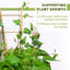 Paquet de 5 treillis en bambou de 16 po pour plantes grimpantes - Jardin naturel