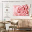 Rose rose fraîche-6702334-6702332