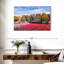 Tulipes du canal Sirci à Amsterdam-107850804