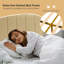 Lit plateforme-1899803118