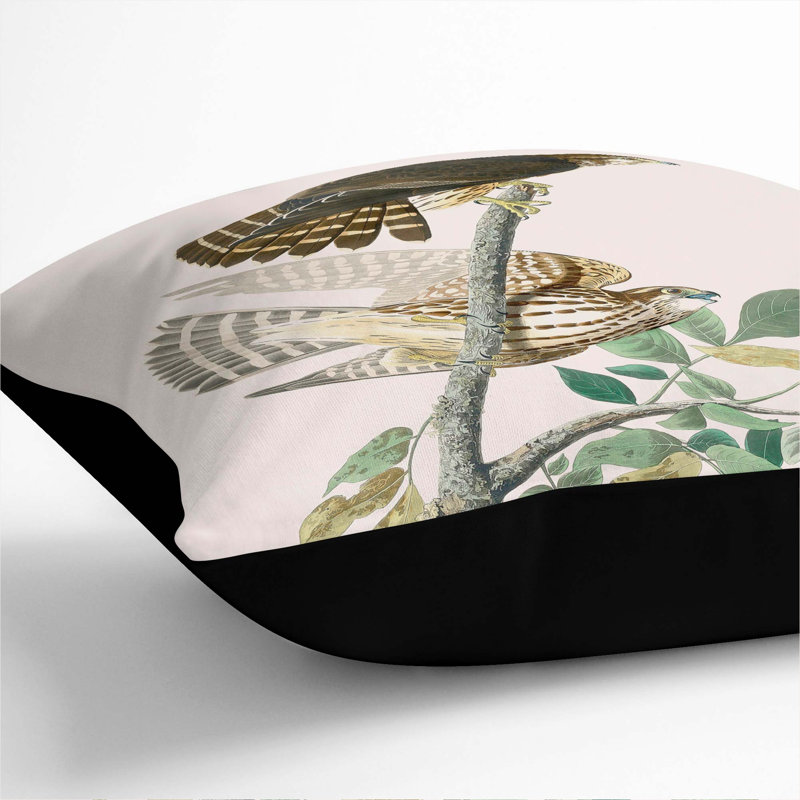 Pigeon Hawks by John James Audubon Cushion with Filling, Black, 55cm H x 55cm W x 20cm D
