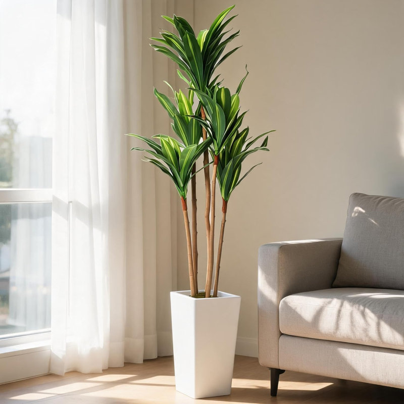 147cm Plant