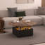 Solid Coffee Table with Storage-1329082382
