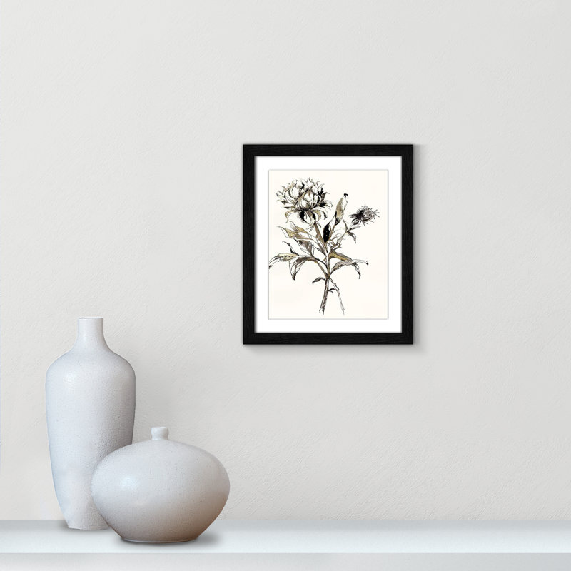 Botanical Seed I by - impression, Cadre noir, H 15 po x l 13 po x P 0,75 po