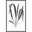 Daily Wish Black 3 Print-398048546
