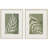 Palm Leaf Framed Art
