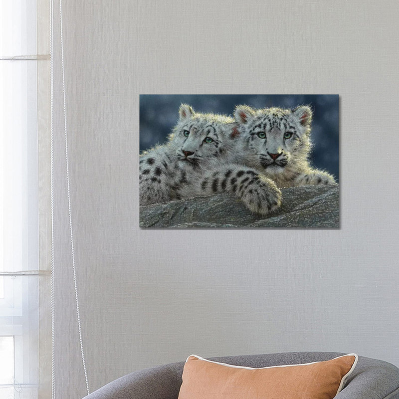 Oursons snow leopard, horizontal, H 18 po x l 26 po x P 1,5 po, Toile avec cadre noir