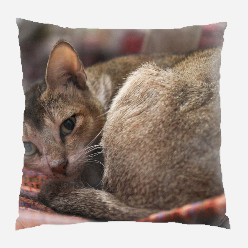 Housse et insert de coussin carré Drumack, Microsuède, Intérieur