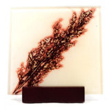 Glass Square 1 Piece Coaster