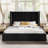 Leesburg Upholstered Wingback Storage Bed-1199468027-1199468007
