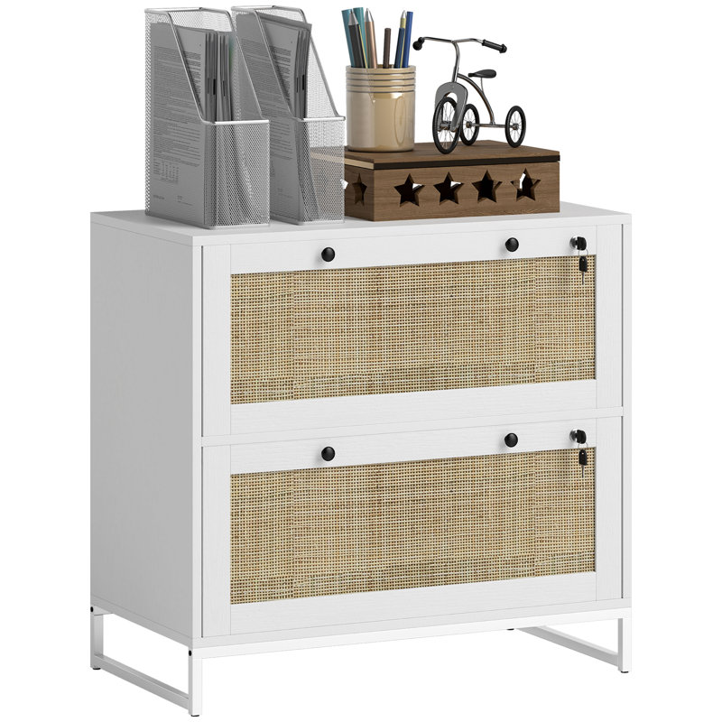 2 Drawer File Cabinet with Lock, Vertical Filing Cabinet with Keys, Rattan Drawers and Adjustable Hanging Bar for Letter, A4 and Legal Size Paper, White