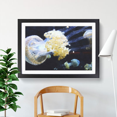 Jellyfish Vol.3 - Picture Frame Painting