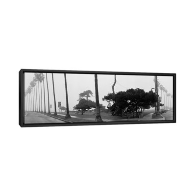 Palmiers et brouillard, San Diego, Californie, par Panoramic Images - reproduction de photo sur toile